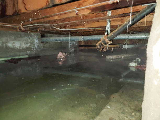 Reliable Geneva, OH Water damage restoration Solutions