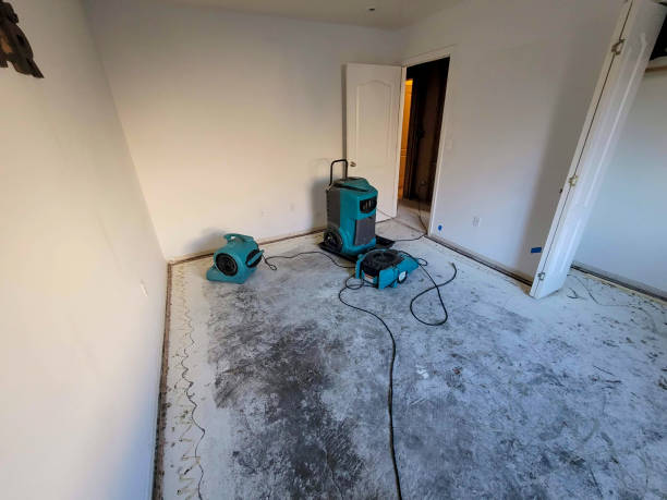 Best Flooded house restoration  in Geneva, OH