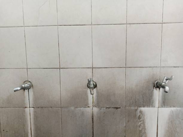 Best Water damage cleanup near me  in Geneva, OH