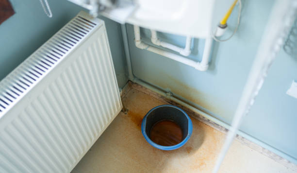 Best Sewage cleanup and water damage restoration  in Geneva, OH