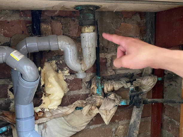 Best 24-hour water damage restoration  in Geneva, OH