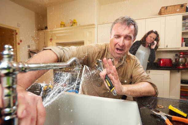 Best Carpet water damage restoration  in Geneva, OH